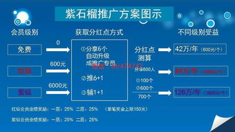 紫石榴应用商店是什么模式是连连看公司开发的嘛